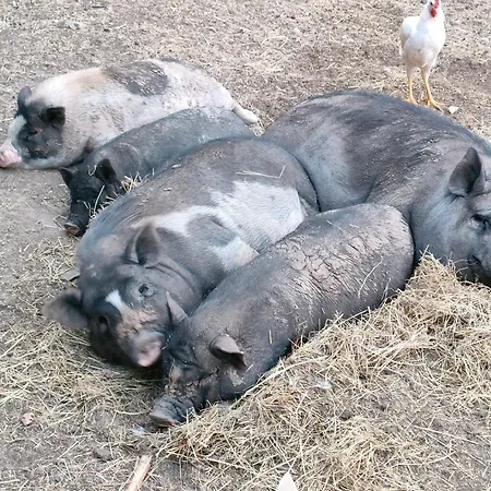 A La Ferme * Ongles