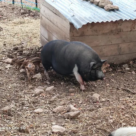 בית נופש A La Ferme
