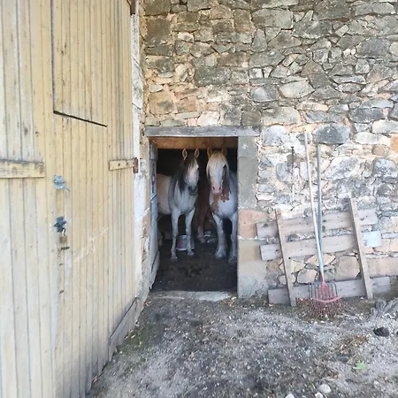 A La Ferme