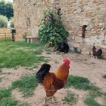 A La Ferme * Ongles