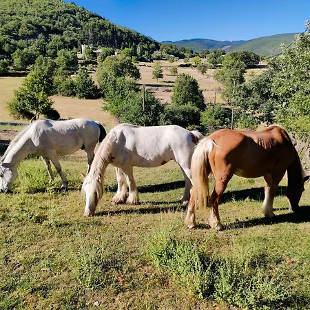 A La Ferme Ferienhaus Ongles