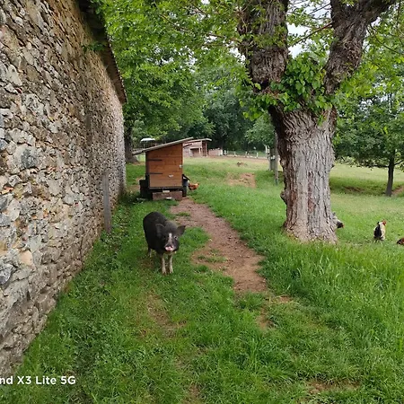 Ferienhaus A La Ferme Ongles