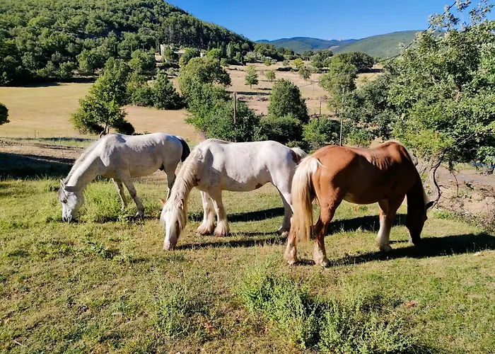 A La Ferme Holiday home Ongles