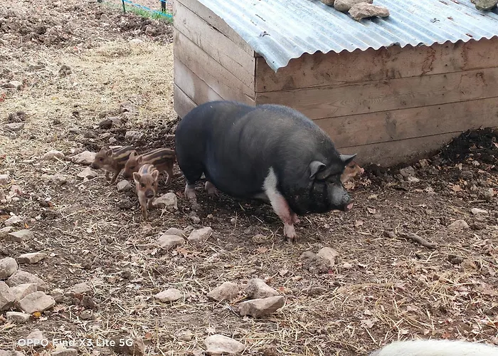 Holiday home A La Ferme