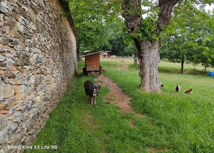 Holiday home A La Ferme Ongles